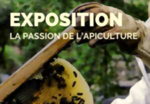 photo INAUGURATION EXPOSITION : NUMA BASTIDE 2026 – LA PASSION DE L'APICULTURE