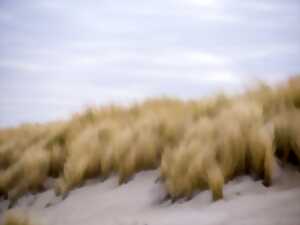 photo Balade : découverte des dunes