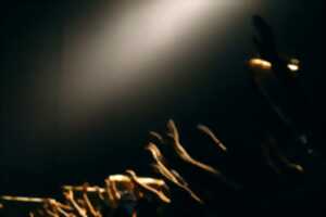 photo Alsace Gospel Choir