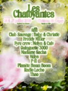 photo Les Chatoyantes