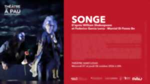 photo Saison Théâtre à Pau - Songe