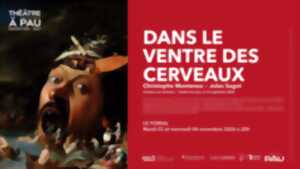 photo Saison Théâtre à Pau - Dans le ventre des cerveaux