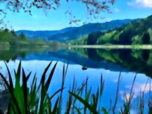 photo Sortie nature : Un paysage en mosaïque