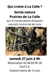 photo Sortie Nature 