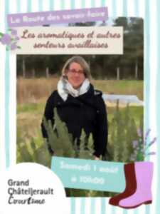 photo Les aromatiques et autres senteurs availlaises