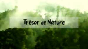 photo LES TRESORS DE LA NATURE