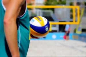 photo Tournoi Green volley