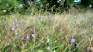 photo Conservatoire d'espaces naturels de Nouvelle-Aquitaine