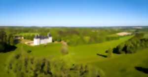 photo Visites libres du Château de Fayolle