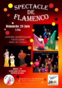 photo Spectacle de flamenco