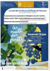 photo La nuit des forêts