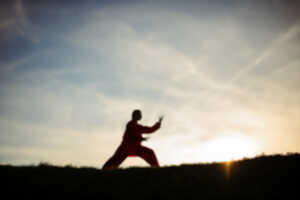 photo Tai Chi Chuan
