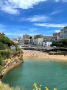 photo Les Mardis du Port-Vieux