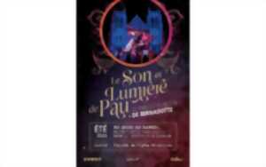 photo Spectacle son et lumière: Le fabuleux destin de Bernadotte