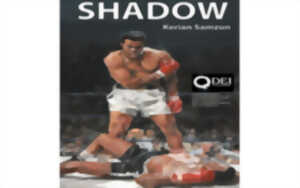 photo Exposition Shadow de Kerian Samzun