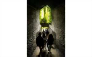 photo Passages et galeries du coeur de Pau