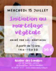 photo Atelier - Inititation au martelage végétal