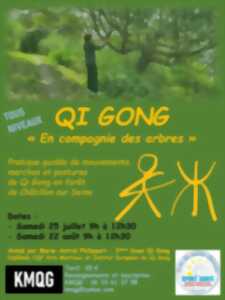 photo Qi Gong en compagnie des arbres