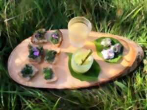 photo Sortie Découverte des plantes sauvages comestibles
