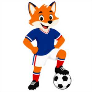 photo Retransmission Coupe du Monde
