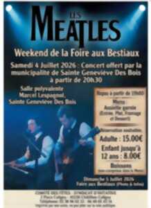 photo Concert Les Meatles