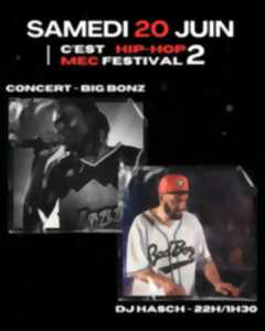 photo Concert - C'est Hip-Hop Mec Festival 2