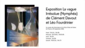 photo Exposition La vague irrésolue (Nymphéa)