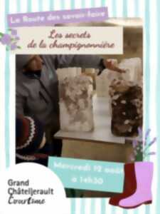 photo Les secrets de la champignonnière