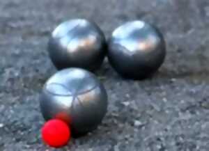 photo Concours de pétanque