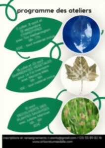photo Découverte des plantes sauvages
