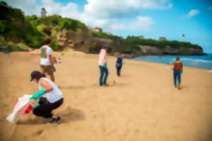 photo Collecte de déchets sur la plage