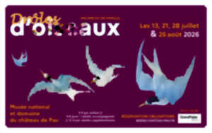 photo Drôles d'oiseaux