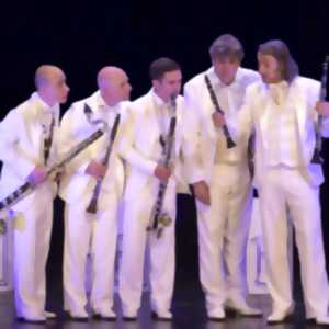 photo Les Estivales d'ArtenetrA : Concert-spectacle LES BONS BECS