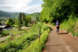 photo Fête du Vélo et des mobilités durables