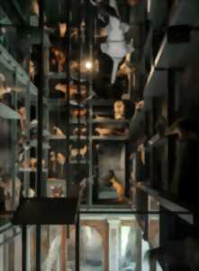 photo Première visite : Musée Zoologique