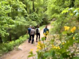 photo Balade Nature - Le Champ du Feu, station nature