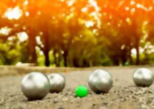 photo Tournoi de pétanque en doublettes formées