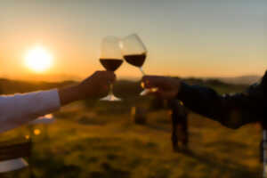 photo COUCHER DE SOLEIL ET DÉGUSTATION DE VINS - SAINT-GUIRAUD