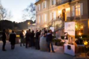 photo LES APER'O CHATEAU - CHATEAU CAPION 31 JUILLET