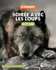 photo Soirée avec les loups