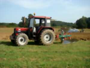 photo Bourse aux pièces détachées (tracteurs, voitures, deux roues)