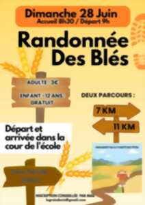 photo Randonnée des blés