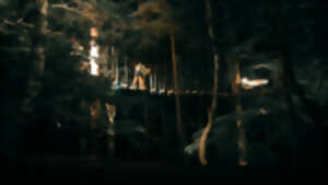 photo RONDIN PARC : ACCROBRANCHE NOCTURNE