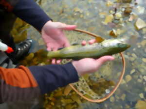 photo PÊCHE À LA MOUCHE