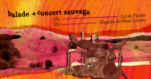 photo BALADE GUIDÉE + CONCERT SAUVAGE