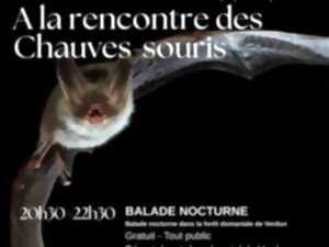 photo Visite guidée 'A la rencontre des chauves-souris '