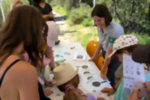 photo Balade et atelier nature