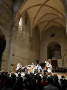 photo FESTIVAL PABLO CASALS