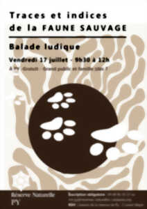 BALADE DÉCOUVERTE : TRACES ET INDICES DE LA FAUNE SAUVAGE