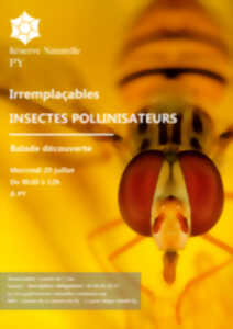 photo BALADE DÉCOUVERTE : IRREMPLAÇABLES INSECTES POLLINISATEURS